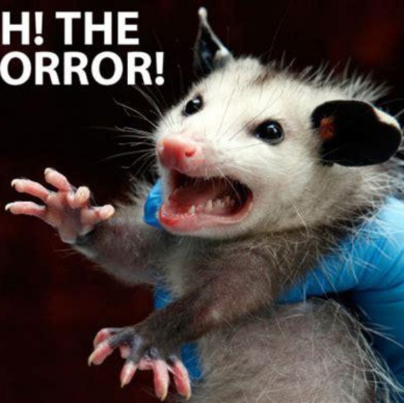 trashpossum